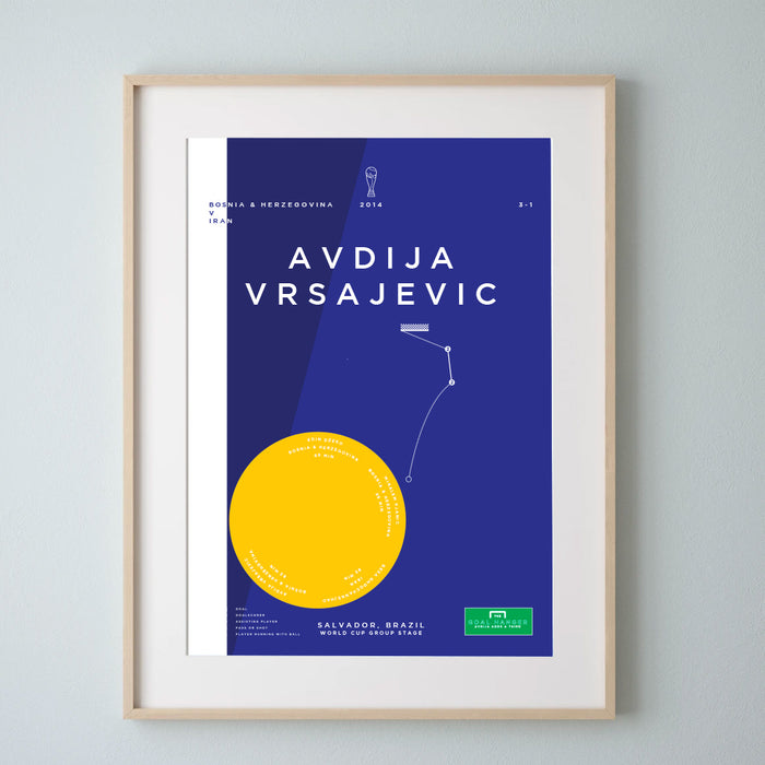 Avdija Vrsajevic: Bosnia & Herzegovina v Iran 2014