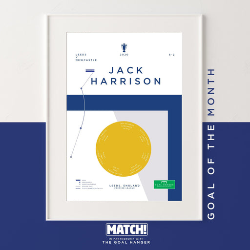 Harrison: Match Goal Of The Month for November - The Goal Hanger