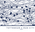 Tottenham v Man City 1981 - The Goal Hanger. Data based football art