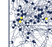 Tottenham v Man City 1981 - The Goal Hanger. Football data inspired artwork